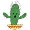 Nobody Hugs A Cactus